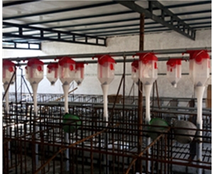 锦州养猪自动化料线